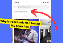 facebook not showing recent searches