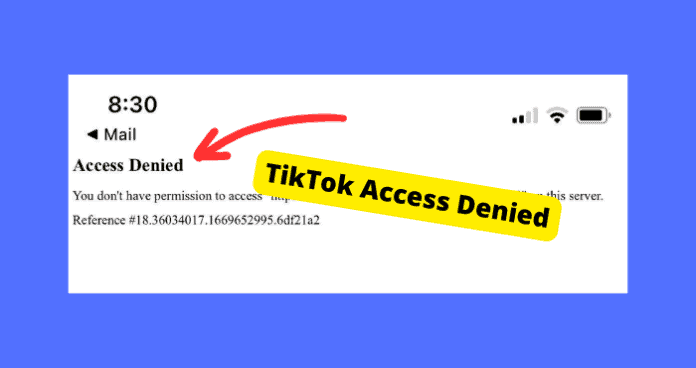 tiktok-access-denied-696x368-2