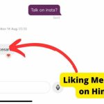 a message with a like on hinge