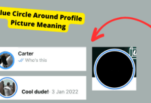 blue circle profile picture meaning