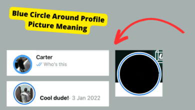 blue circle profile picture meaning