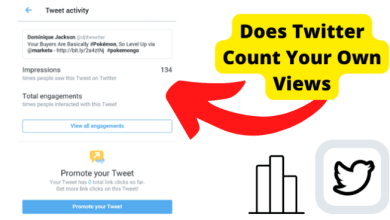 does twitter count your own views