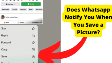 does whatsapp notify when you save a picture