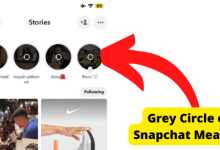 Grey circle around snapchat story