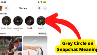 Grey circle around snapchat story