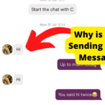 hinge double message glitch
