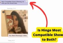 hinge most compatible shown to both