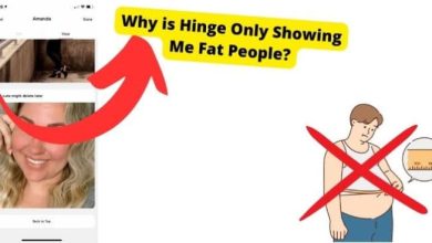 hinge showing fat people only
