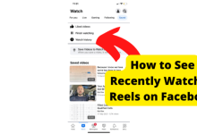 how to see recently watched reels on facebook