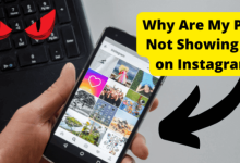 instagram not showing all my posts