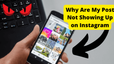 instagram not showing all my posts