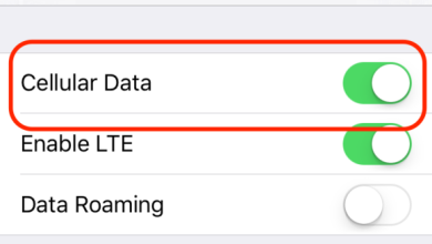 Fix Cellular data not working on iPhone