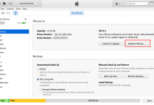restricted iphone