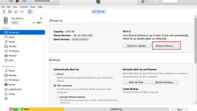 restricted iphone