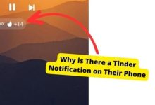 tinder notification icon meaning