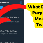 what does the purple star mean on twitter