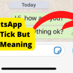 whatsapp single tick but online