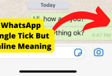whatsapp single tick but online