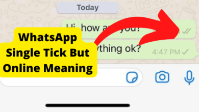 whatsapp single tick but online