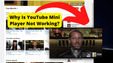 youtube mini player not working