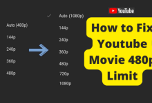 youtube movie only 480p