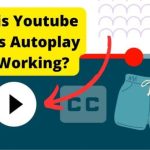 youtube shorts autoplay not working