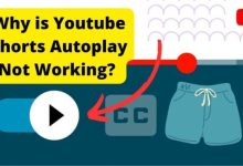 youtube shorts autoplay not working