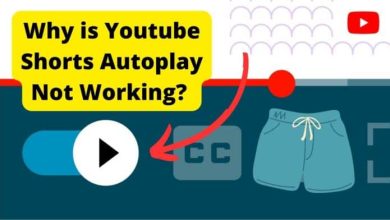 youtube shorts autoplay not working
